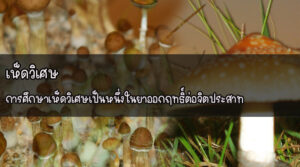 เห็ดวิเศษ